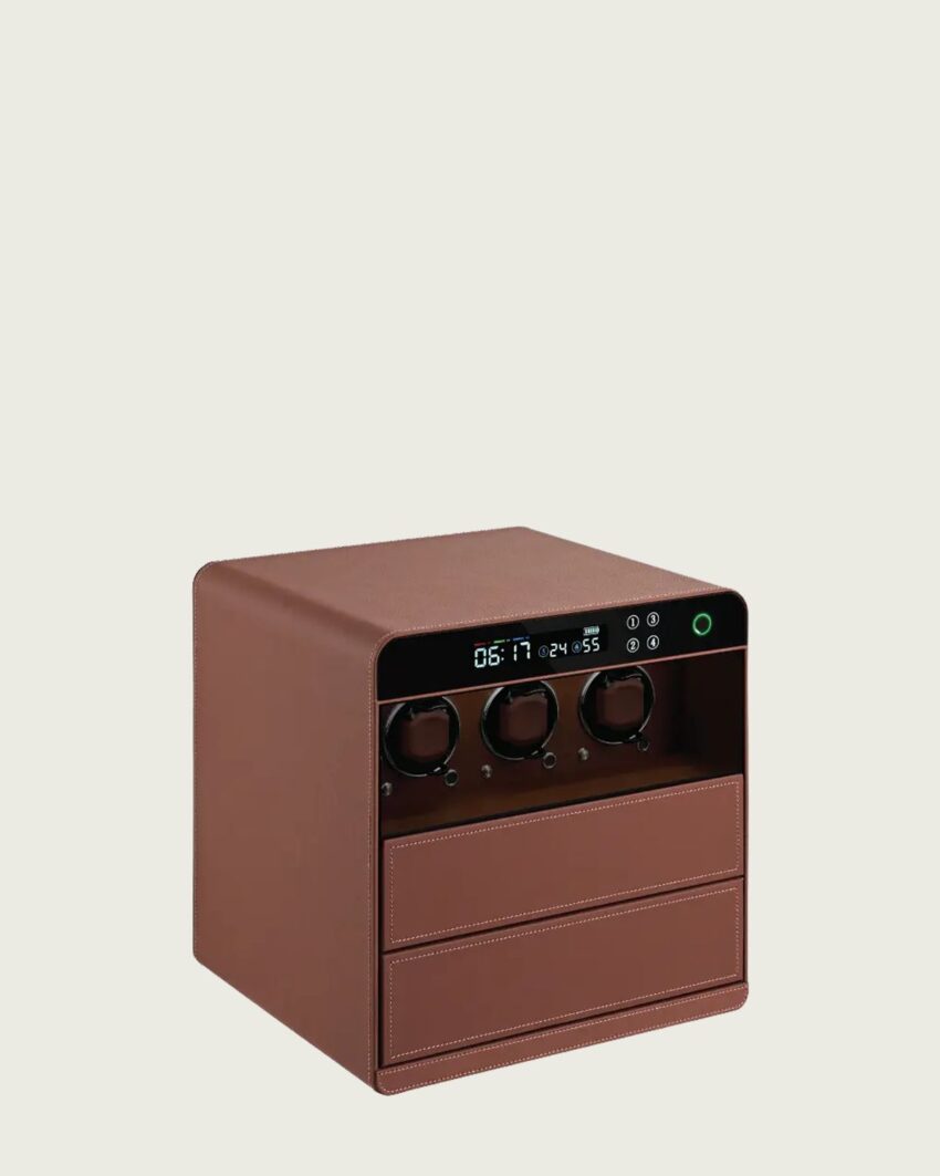 Hộp đựng đồng hồ cơ 3 xoay có khóa vân tay Robox RB23001
